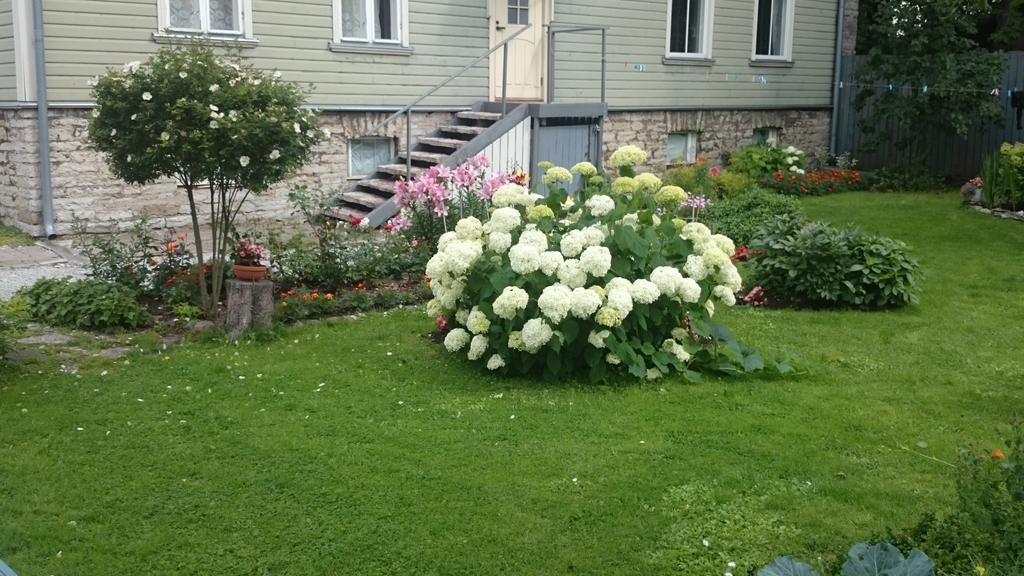 Matrix Garden Apartments タリン 部屋 写真